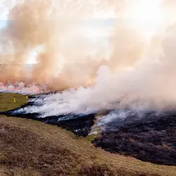 December 2017 (The Wilds)